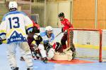 Photo hockey reportage Roller N3 - Villard Bonnot - Strasbourg