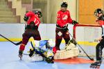 Photo hockey reportage Roller N3 - Villard Bonnot - Strasbourg