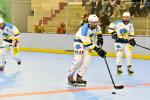 Photo hockey reportage Roller N3 - Villard Bonnot - Strasbourg