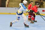 Photo hockey reportage Roller N3 - Villard Bonnot - Strasbourg