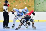 Photo hockey reportage Roller N3 - Villard Bonnot - Strasbourg