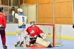 Photo hockey reportage Roller N3 - Villard Bonnot - Strasbourg