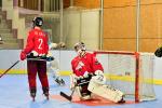 Photo hockey reportage Roller N3 - Villard Bonnot - Strasbourg