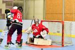 Photo hockey reportage Roller N3 - Villard Bonnot - Strasbourg