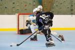 Photo hockey reportage Roller N3 - Villard Bonnot vs Aubagne