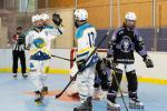 Photo hockey reportage Roller N3 - Villard Bonnot vs Aubagne