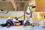 Photo hockey reportage Roller N3 - Villard Bonnot vs Bourg en Bresse