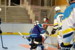 Photo hockey reportage Roller N3 - Villard Bonnot vs Bourg en Bresse