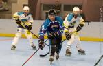 Photo hockey reportage Roller N3 - Villard Bonnot vs Bourg en Bresse