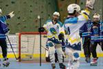 Photo hockey reportage Roller N3 - Villard Bonnot vs Bourg en Bresse