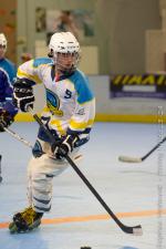 Photo hockey reportage Roller N3 - Villard Bonnot vs Bourg en Bresse