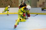 Photo hockey reportage Roller N3 - Villard Bonnot vs Chambry