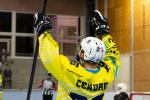 Photo hockey reportage Roller N3 - Villard Bonnot vs Chambry