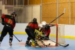 Photo hockey reportage Roller N3 - Villard Bonnot vs Chambry