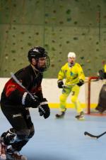 Photo hockey reportage Roller N3 - Villard Bonnot vs Chambry