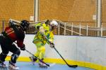 Photo hockey reportage Roller N3 - Villard Bonnot vs Chambry