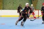 Photo hockey reportage Roller N3 - Villard Bonnot vs Nimes