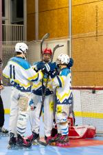 Photo hockey reportage Roller N3 - Villard Bonnot vs Nimes