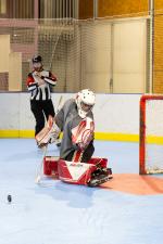 Photo hockey reportage Roller N3 - Villard Bonnot vs Nimes