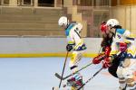 Photo hockey reportage Roller N3 - Villard Bonnot vs Nimes