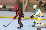 Photo hockey reportage Roller N3 - Villard Bonnot vs Nimes