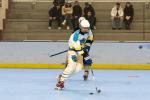 Photo hockey reportage Roller N3 - Villard Bonnot vs Nimes