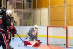 Photo hockey reportage Roller N3 - Villard Bonnot vs Nimes