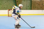 Photo hockey reportage Roller N3 - Villard Bonnot vs Nimes