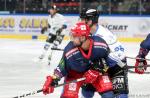 Photo hockey reportage TELH : Le champion n'a pas dit son dernier mot