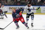 Photo hockey reportage TELH : Le champion n'a pas dit son dernier mot