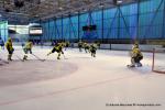 Photo hockey reportage TMR : L'Aigle au firmament