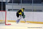 Photo hockey reportage TMR : L'Aigle au firmament