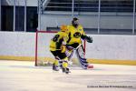 Photo hockey reportage TMR : L'Aigle au firmament