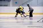 Photo hockey reportage TMR : L'Aigle au firmament