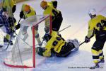 Photo hockey reportage TMR : L'Aigle au firmament