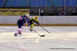 Photo hockey reportage TMR : L'Aigle au firmament