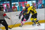 Photo hockey reportage TMR : L'Aigle au firmament