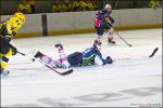 Photo hockey reportage TMR : L'Aigle au firmament