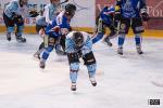 Photo hockey reportage Tournoi APVL Tours - Jour 3