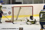 Photo hockey reportage Tournoi Loisirs de Wasquehal