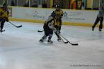 Photo hockey reportage Tournoi U11  Dijon