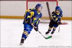 Photo hockey reportage Tournoi U11 d'Orlans