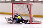 Photo hockey reportage Tournoi U11 d'Orlans