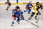 Photo hockey reportage Tournoi U11 d'Orlans