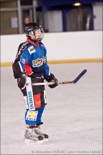 Photo hockey reportage Tournoi U11 d'Orlans