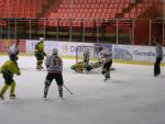 Photo hockey reportage Trophe Fdral : 1/2 finales  Amiens 