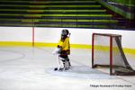 Photo hockey reportage U11 : Dos  dos