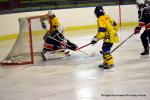 Photo hockey reportage U13 : Tournoi des Aiglons