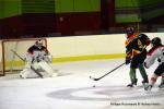 Photo hockey reportage U17 Excellence : L'Alsace d'une courte tte