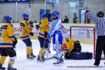 Photo hockey reportage U18 Elite B : Dijon champion de France